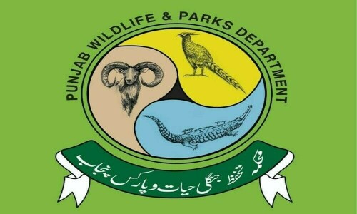 Illegal wildlife trade: Punjab govt intensifies crackdown