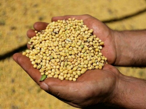 Soy down 22-25 cents, corn down 4-5 cents, wheat down 9-10 cents