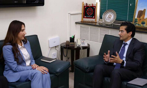 US envoy discusses energy collaboration with minister