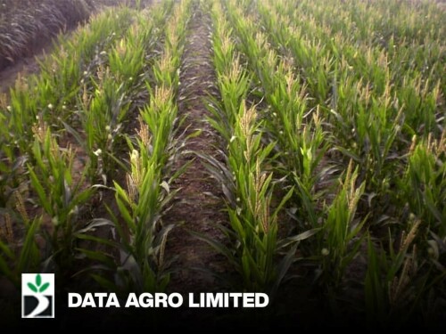 Data Agro Limited