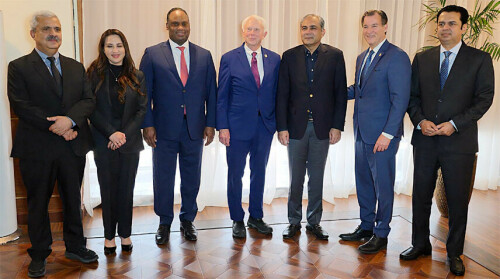 Pakistan stands as &lsquo;wall between terrorism and world,&rsquo; Naqvi tells US congressmen