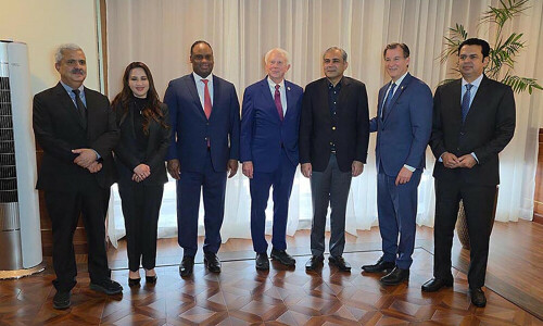 Naqvi tells US Congressmen: Strong ties with US important part of foreign policy