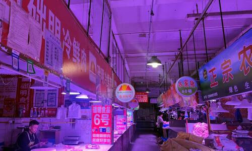China&rsquo;s murky bankruptcies expose hazards for foreign investors