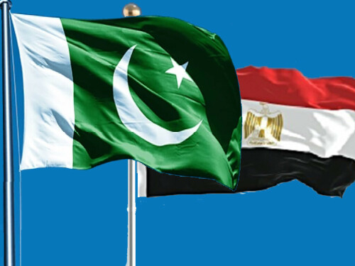 Pakistan, Egypt to enhance cooperation in healthcare