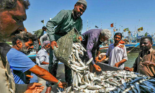 Sindh tightens fishing regulations