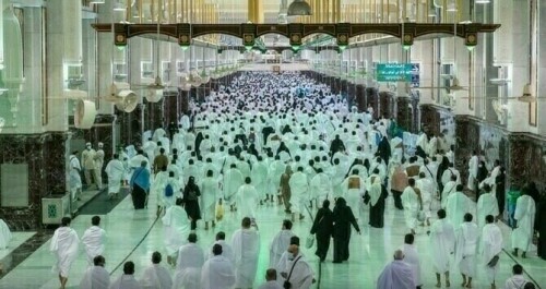 HOAP seeks govt&rsquo;s help to resolve visa issue facing intending pilgrims