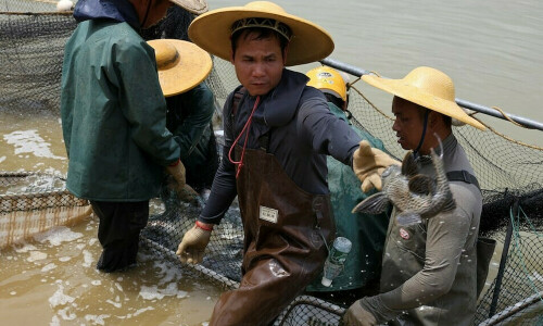 The Chinese fish town caught in the US tariff net