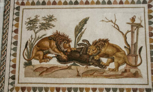 Bite marks reveal gladiator&rsquo;s fatal encounter with a lion in ancient Britain