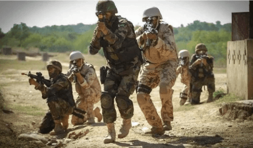 6 terrorists killed, 4 injured in Bannu operation, says ISPR