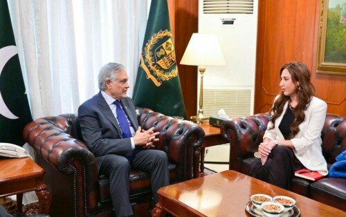 FM Dar tells US envoy Pakistan will &lsquo;safeguard national interests&rsquo; amid India tensions