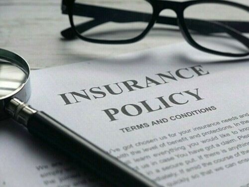 Mother of deceased policyholder secures due share