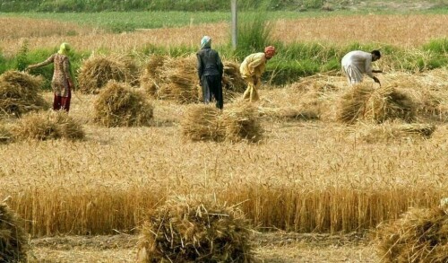 ADB to scale up food security support to $40bn by 2030