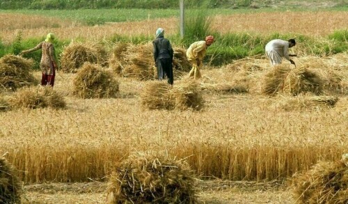 ایشیائی ترقیاتی بینک: 2030 تک فوڈ سیکورٹی کی امداد 40 ارب ڈالر تک بڑھانے کا اعلان