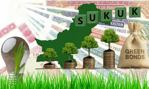 ماحول دوست سرمایہ کاری کی شروعات: پاکستان کا پہلا گرین سکوک جاری