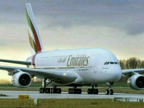 Emirates airline posts record annual profit on strong travel demand