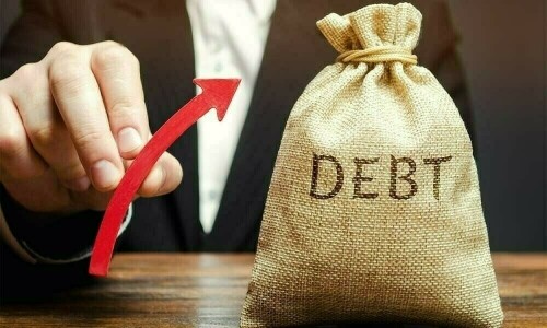 اپنے قرضوں کی عالمی معیار کے مطابق ری اسٹرکچرنگ کررہے ہیں، وزیر خزانہ