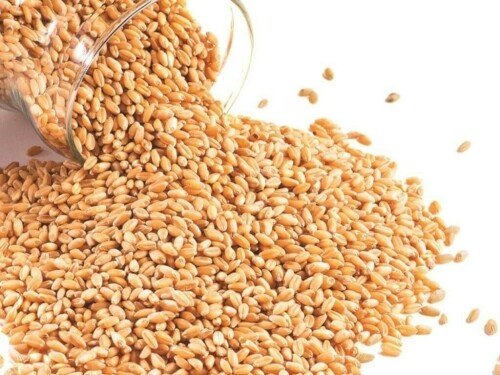 Weak Chinese demand leaves Australia with too much wheat