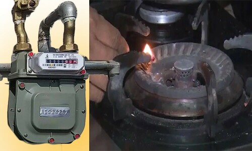 Govt working to lift ban on new gas connections, says minister
