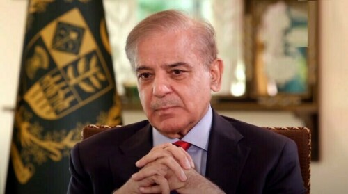 بھارت نے پراکسیز کے ذریعے پاکستان میں دہشتگردی کی مہم تیز کردی، شہباز شریف
