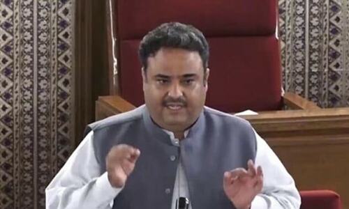 Families of martyrs: Senator Danesh announces Rs5m