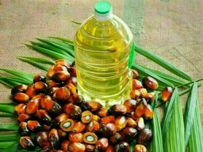 Malaysian palm oil gains