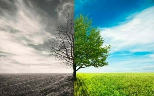 پاکستان کا ماحولیاتی بحران سے نمٹنے کے عزم کا اعادہ