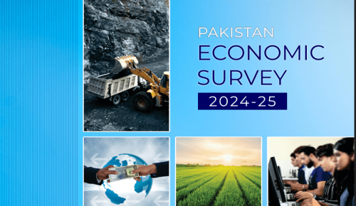 Here is the full text of Pakistan Economic Survey 2024-25