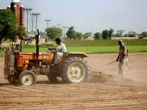 &lsquo;Lowest in 9 years&rsquo;: Pakistan agriculture sector projected to grow only 0.56% in FY25