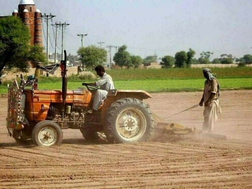 9 برسوں کی کم ترین سطح، زرعی شعبے کی ترقی محض 0.56 فیصد رہی