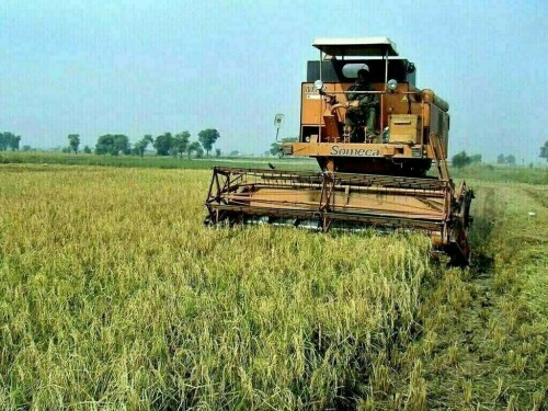 زراعت ایک بار پھر توجہ کا مرکز، وزیراعظم کی زرعی مشینری اور آلات پر ٹیکس کم کرنے کی ہدایت