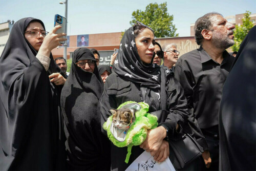 Iran to hold &lsquo;historic&rsquo; funeral for slain top military, nuclear figures