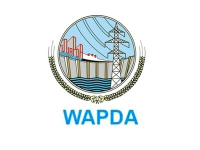 Wapda chairman resigns
