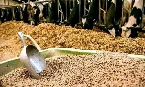 Seminar on enhancing Pakistan’s fodder export held