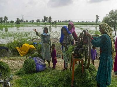 ‘She Feeds the World programme’ successfully concluded