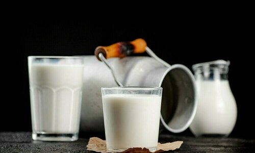 Dairy sector urges govt to reduce ST on milk