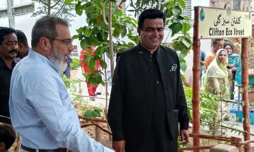 PSO and partners unveil ‘Clifton Sabz Gali’