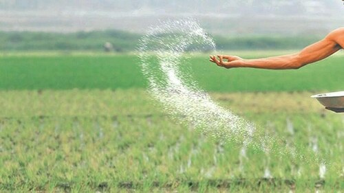 Urea sector: Body decides to extend gas supply until Sept 30