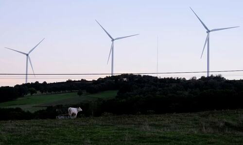 EU plans to add carbon credits to new climate goal, document shows