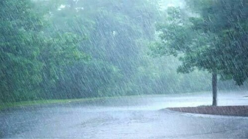 Punjab activates monsoon emergency plan as heavy rain lashes Lahore