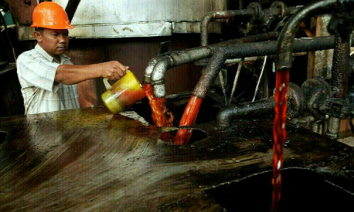 Palm firms tracking rival oils