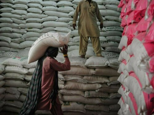 حکومت 5 لاکھ میٹرک ٹن چینی درآمد کرے گی، وزارت خوراک و غذائی تحفظ