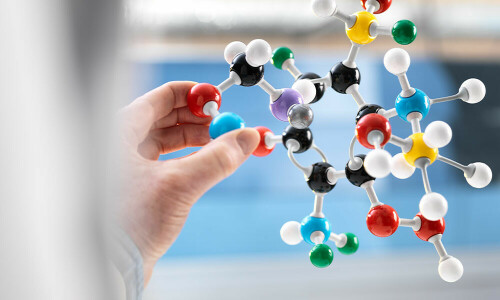 Pakistan develops its first-ever indigenous biomolecule to make anti-rabies vaccine