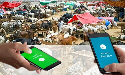 Go Cashless: cattle markets settle Rs4.66bn via 64,553 online transactions on Eid-ul-Adha 2025