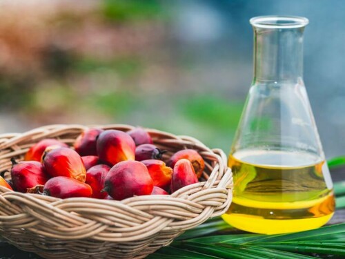 Malaysia hikes August crude palm oil reference price, raising duty to 9%