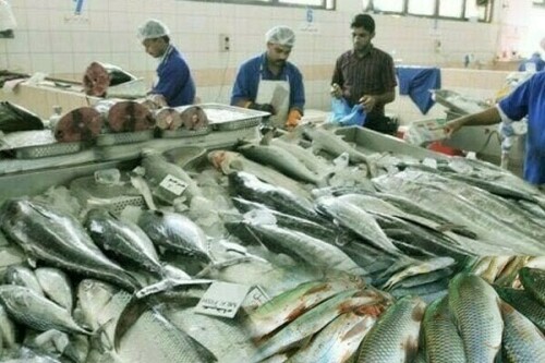 سی فوڈ برآمدات میں 11.44 فیصد اضافہ ، 465.4 ملین ڈالر تک جاپہنچیں