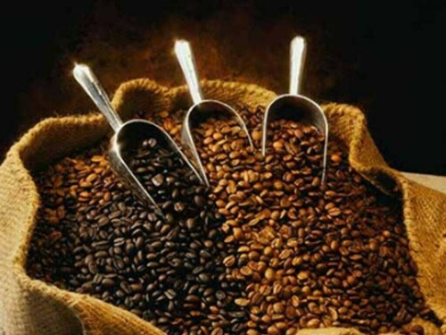 Robusta coffee falls on ample supplies, cocoa edges up