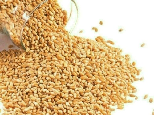Wheat falls as Russia&rsquo;s new crop arrives on the market