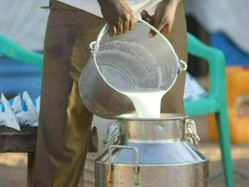 ڈیری شعبے کی پائیدار ترقی کیلئے اسٹریٹجک شراکت داری قائم، زیڈ ٹی بی ایل اور پی ڈی اے میں اشتراک