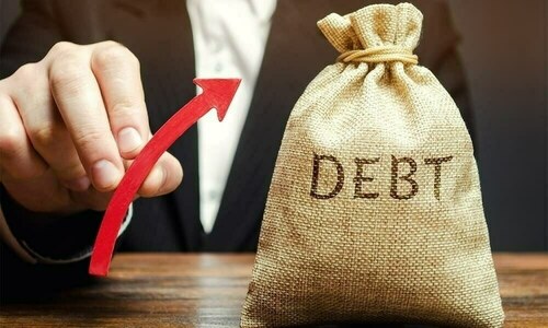 ‘Businesses can’t expand while banks earn from govt debt’