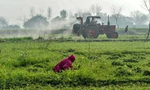 Sindh endorses agriculture income tax rules